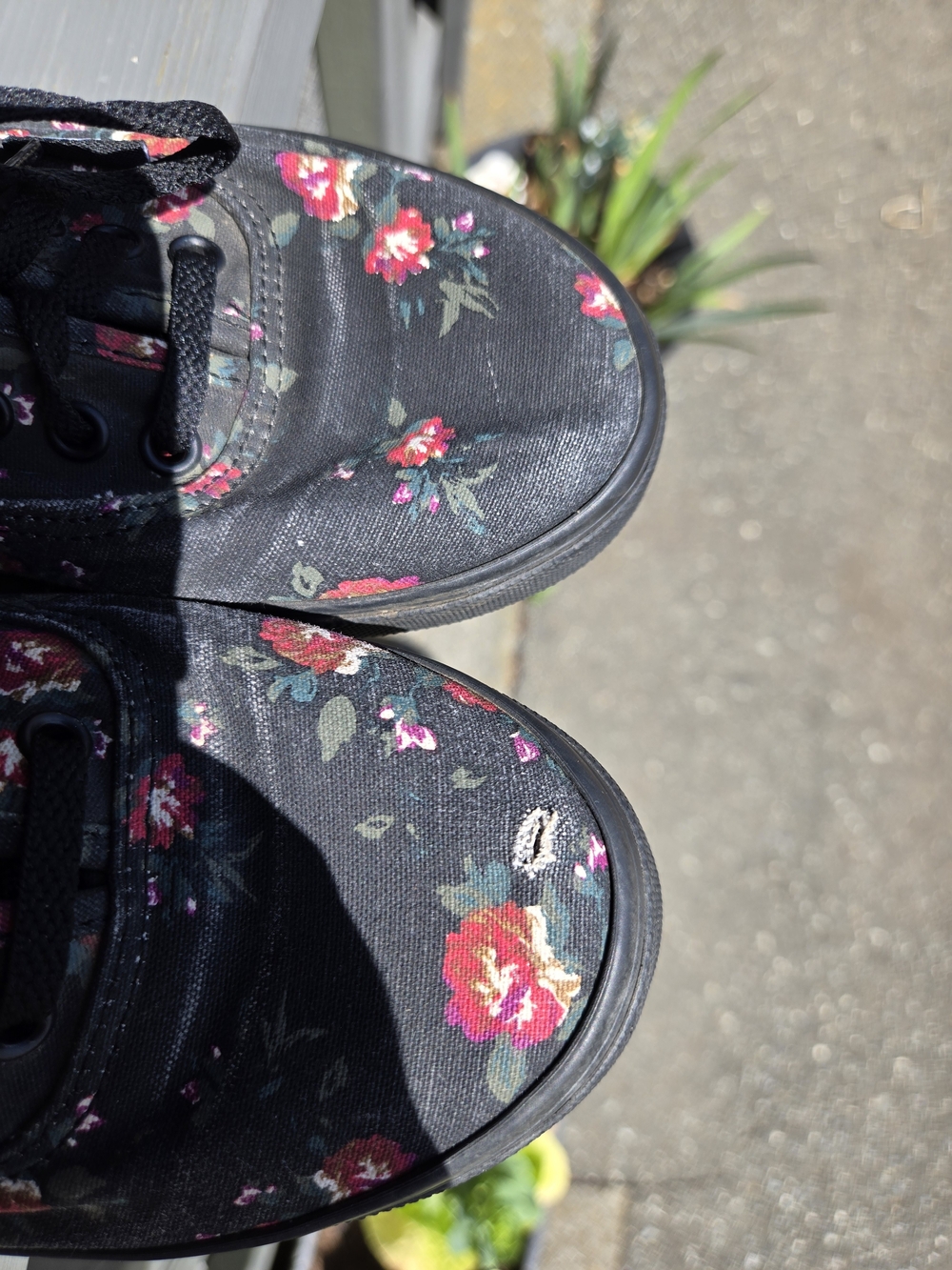 Vans Black Canvas Low-Top Sneakers with Red Floral Print - Picture 3 of 9